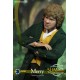 THE LORD OF THE RING MERRY SLIM VERSION 1/6 SCALE COLLECTIBLE FIGURE 20 CM